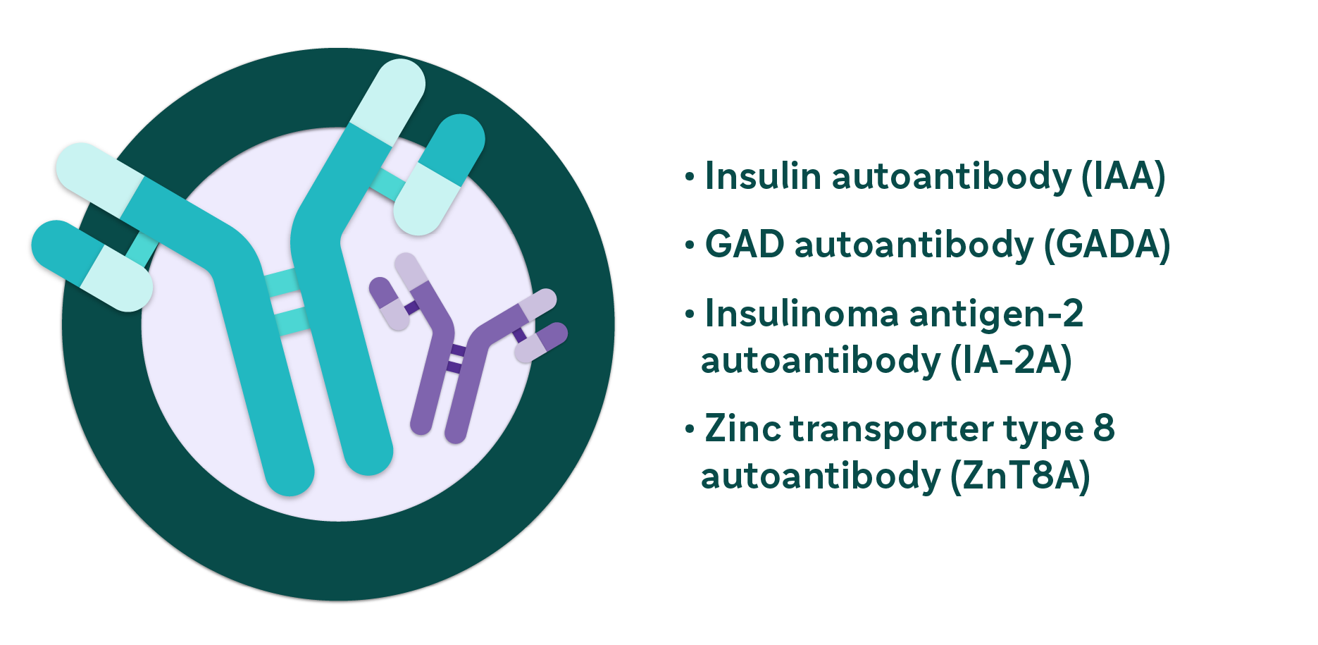 One blue and one purple autoantibody illustration