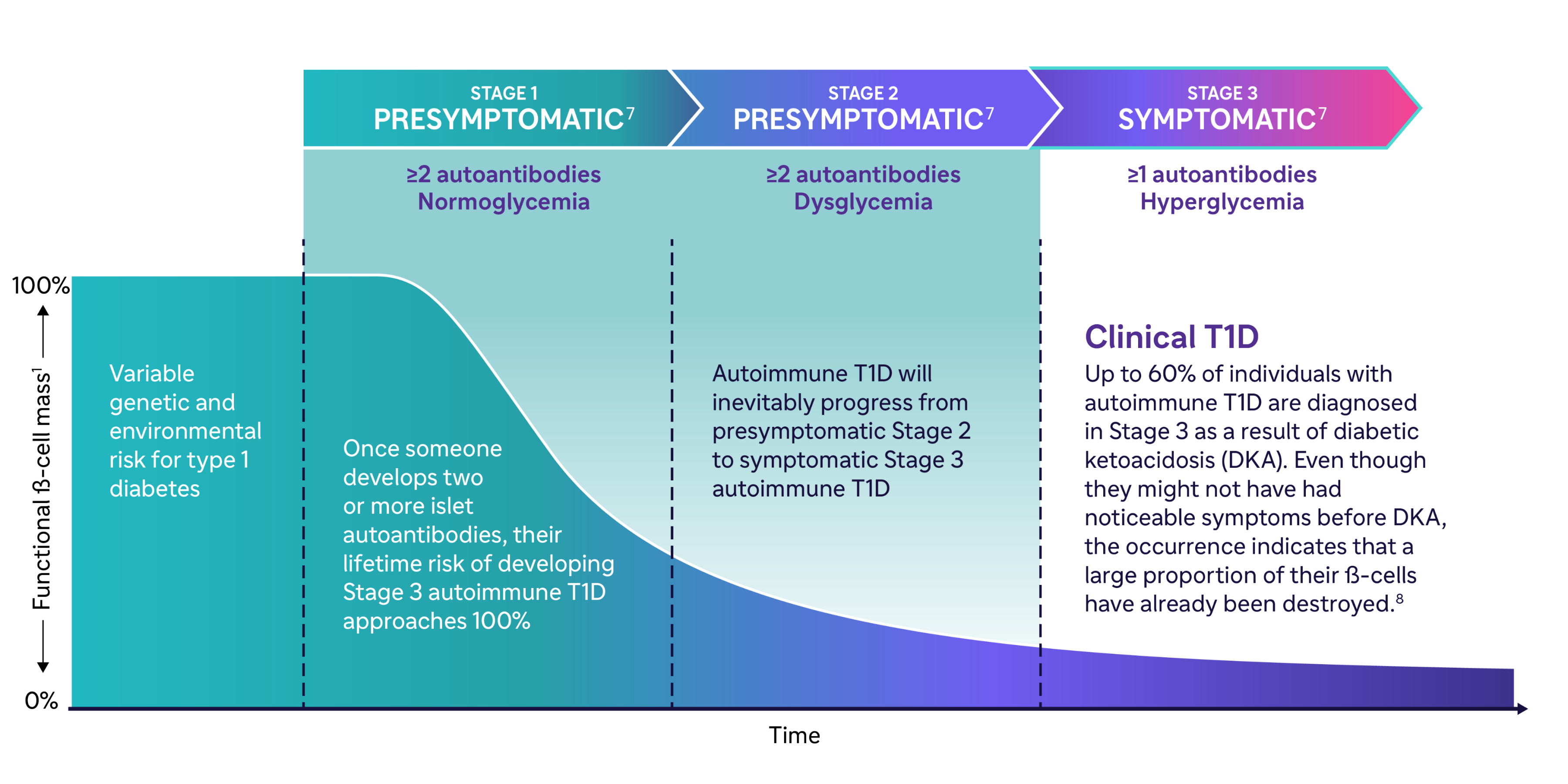 100% Functional ß-cell mass 0%   Variable genetic and environmental risk for type 1 diabetes1  STAGE 1 PRESYMPTOMATIC ≥2 autoantibodies Normoglycemia1  Once someone develops two or more islet autoantibodies, their lifetime risk of developing Stage 3 autoimmune T1D approaches 100%1  STAGE 2 PRESYMPTOMATIC ≥2 autoantibodies Dysglycemia1  autoimmune T1D will inevitably progress from presymptomatic Stage 2 autoimmune T1D to Stage 3 autoimmune T1D1  STAGE 3 SYMPTOMATIC ≥2 autoantibodies Hyperglycemia1  Clinical T1D Up to 60% of individuals with autoimmune T1D are diagnosed in Stage 3 as a result of diabetic ketoacidosis (DKA). Even though they might not have had noticeable symptoms before DKA, the occurrence indicates that a large proportion of their ß-cells have already been destroyed.1,7
