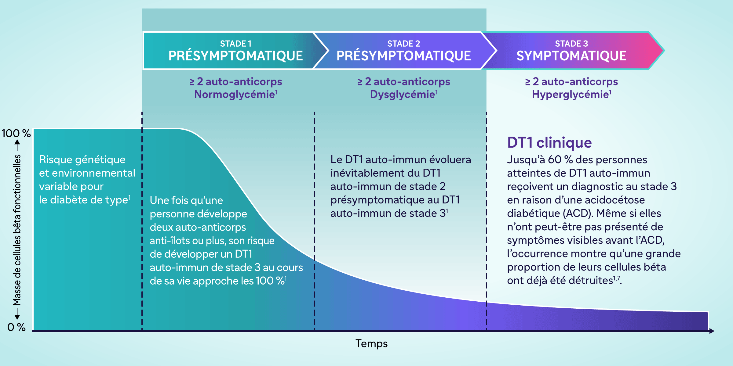100 % Masse de cellules bêta fonctionnelles 0 %Risque génétique et environnemental variable pour le diabète de type 11STADE 1PRÉSYMPTOMATIQUE≥2 auto-anticorpsNormoglycémie1Une fois qu’une personne développe deux auto-anticorps anti-îlots ou plus, son risque de développer un DT1 auto-immun de stade 3 au cours de sa vie approche les 100 %1 STADE 2PRÉSYMPTOMATIQUE≥2 auto-anticorpsDysglycémie1 Le DT1 auto-immun évoluera inévitablement du DT1 auto-immun de stade 2 présymptomatique au DT1 auto-immun de stade 31STADE 3SYMPTOMATIQUE≥2 auto-anticorpsHyperglycémie1 DT1 cliniqueJusqu’à 60 % des personnes atteintes de DT1 auto-immun reçoivent un diagnostic au stade 3 en raison d’une acidocétose diabétique (ACD). Même si elles n’ont peut-être pas présenté de symptômes visibles avant l’ACD, l’occurrence montre qu’une grande proportion de leurs cellules béta ont déjà été détruites.1,7 Temps