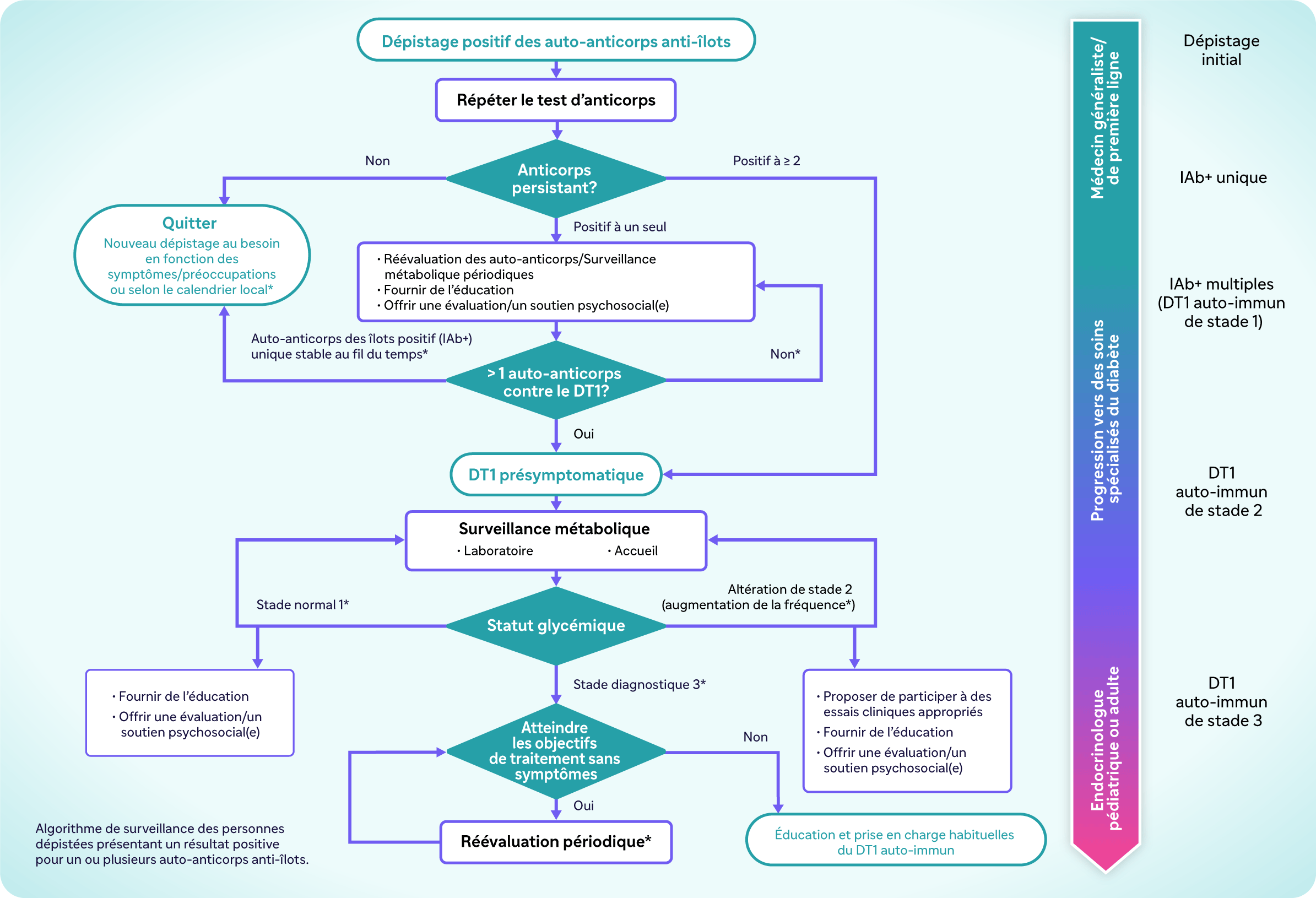 Organigramme des algorithmes de l’ADA et de l’EASD pour la surveillance des personnes présentant des anticorps positifsDépistage positif des auto-anticorps anti-îlotsRépéter le test d’anticorpsAnticorps persistant? NonPositif à un seulPositif à ≥ 2QuitterNouveau dépistage au besoin en fonction des symptômes/préoccupations ou selon le calendrier local*Réévaluation des auto-anticorps/Surveillance métabolique périodiquesFournir de l’éducationOffrir une évaluation/un soutien psychosocial(e)> 1 auto-anticorps contre le DT1?Auto-anticorps des îlots positif (IAb+) unique stable au fil du temps*OuiNon*DT1 présymptomatiqueSurveillance métabolique • Laboratoire• AccueilStatut glycémiqueStade normal 1*Stade diagnostique 3*Altération de stade 2 (augmentation de la fréquence*)Fournir de l’éducationOffrir une évaluation/un soutien psychosocial(e)Proposer de participer à des essais cliniques appropriés ou à des traitements approuvésFournir de l’éducationOffrir une évaluation/un soutien psychosocial(e)Atteindre les objectifs de traitement sans symptômesOuiNonRéévaluation périodique*Éducation et prise en charge habituelles du DT1 auto-immunFlèche représentant la progression des orientations et la présence d’auto-anticorps ou la stadification du DT1 auto-immun