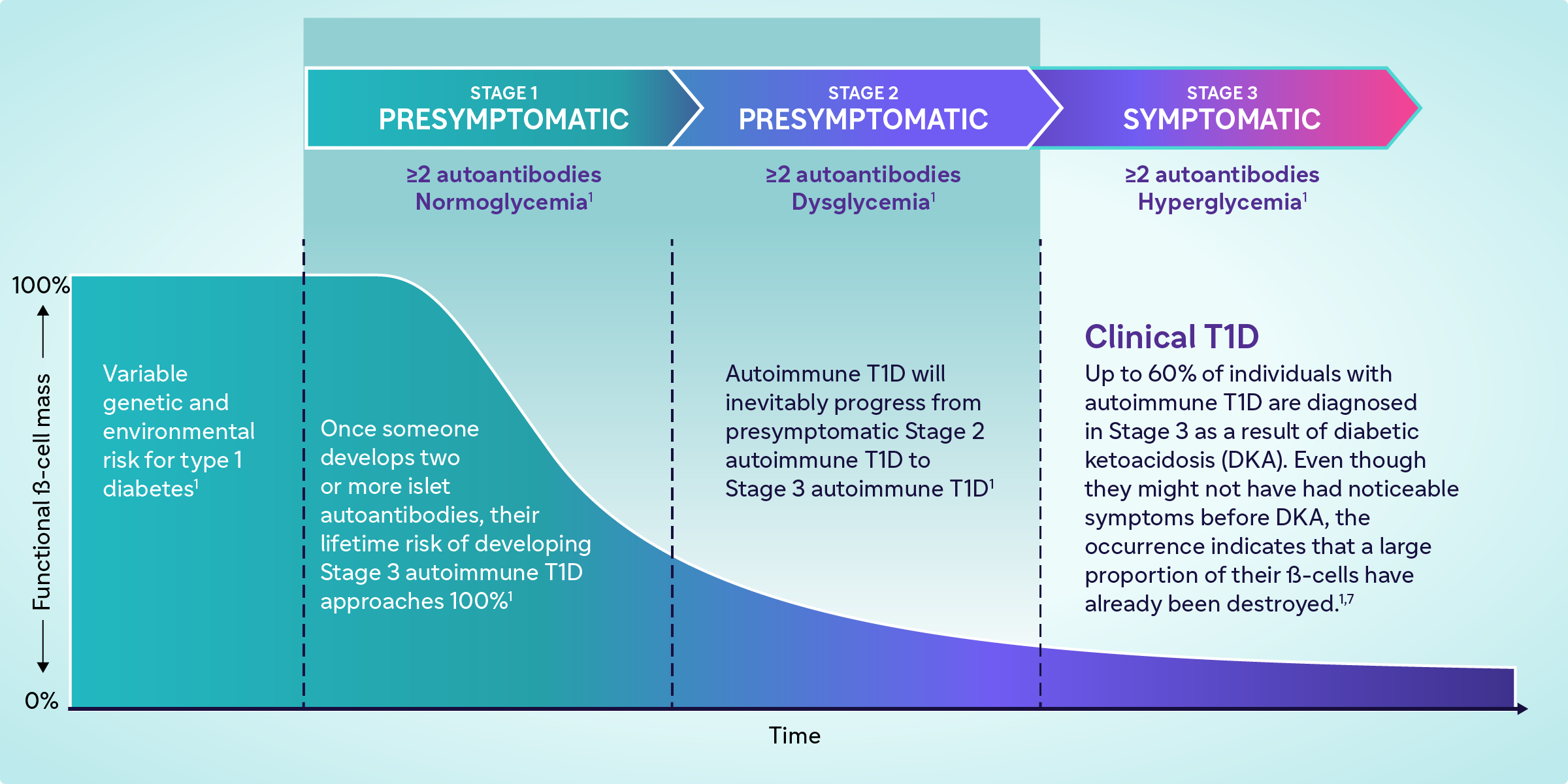 100% Functional ß-cell mass 0% Variable genetic and environmental risk for type 1 diabetes1 STAGE 1 PRESYMPTOMATIC ≥2 autoantibodies Normoglycemia1 Once someone develops two or more islet autoantibodies, their lifetime risk of developing Stage 3 autoimmune T1D approaches 100%1 STAGE 2 PRESYMPTOMATIC ≥2 autoantibodies Dysglycemia1 autoimmune T1D will inevitably progress from presymptomatic Stage 2 autoimmune T1D to Stage 3 autoimmune T1D1 STAGE 3 SYMPTOMATIC ≥2 autoantibodies Hyperglycemia1 Clinical T1D Up to 60% of individuals with autoimmune T1D are diagnosed in Stage 3 as a result of diabetic ketoacidosis (DKA). Even though they might not have had noticeable symptoms before DKA, the occurrence indicates that a large proportion of their ß-cells have already been destroyed.1,7