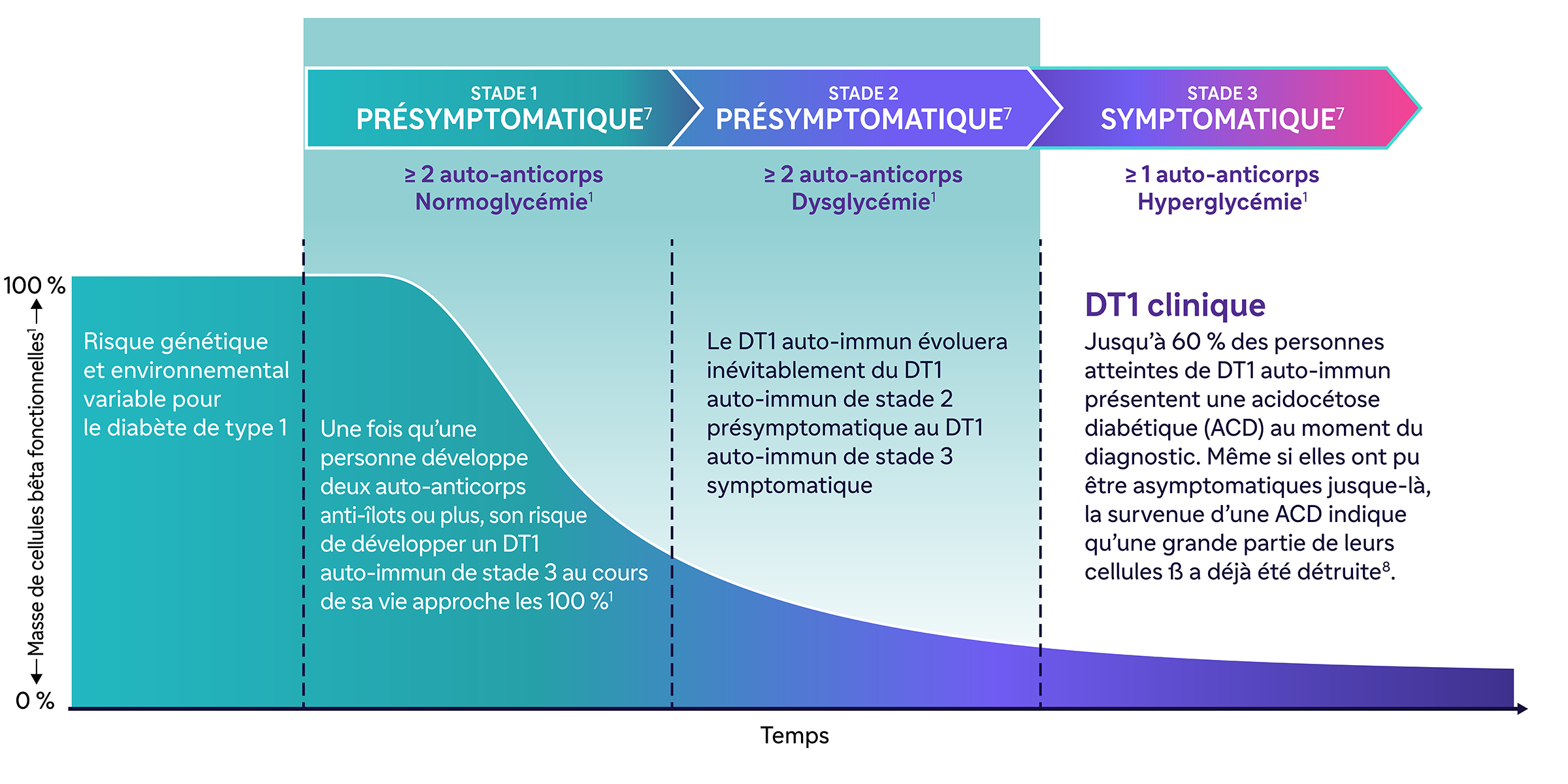 100 % Masse de cellules bêta fonctionnelles 0 %Risque génétique et environnemental variable pour le diabète de type 11STADE 1PRÉSYMPTOMATIQUE≥2 auto-anticorpsNormoglycémie1Une fois qu’une personne développe deux auto-anticorps anti-îlots ou plus, son risque de développer un DT1 auto-immun de stade 3 au cours de sa vie approche les 100 %1 STADE 2PRÉSYMPTOMATIQUE≥2 auto-anticorpsDysglycémie1 Le DT1 auto-immun évoluera inévitablement du DT1 auto-immun de stade 2 présymptomatique au DT1 auto-immun de stade 31STADE 3SYMPTOMATIQUE≥2 auto-anticorpsHyperglycémie1 DT1 cliniqueJusqu’à 60 % des personnes atteintes de DT1 auto-immun reçoivent un diagnostic au stade 3 en raison d’une acidocétose diabétique (ACD). Même si elles n’ont peut-être pas présenté de symptômes visibles avant l’ACD, l’occurrence montre qu’une grande proportion de leurs cellules béta ont déjà été détruites.1,7 Temps
