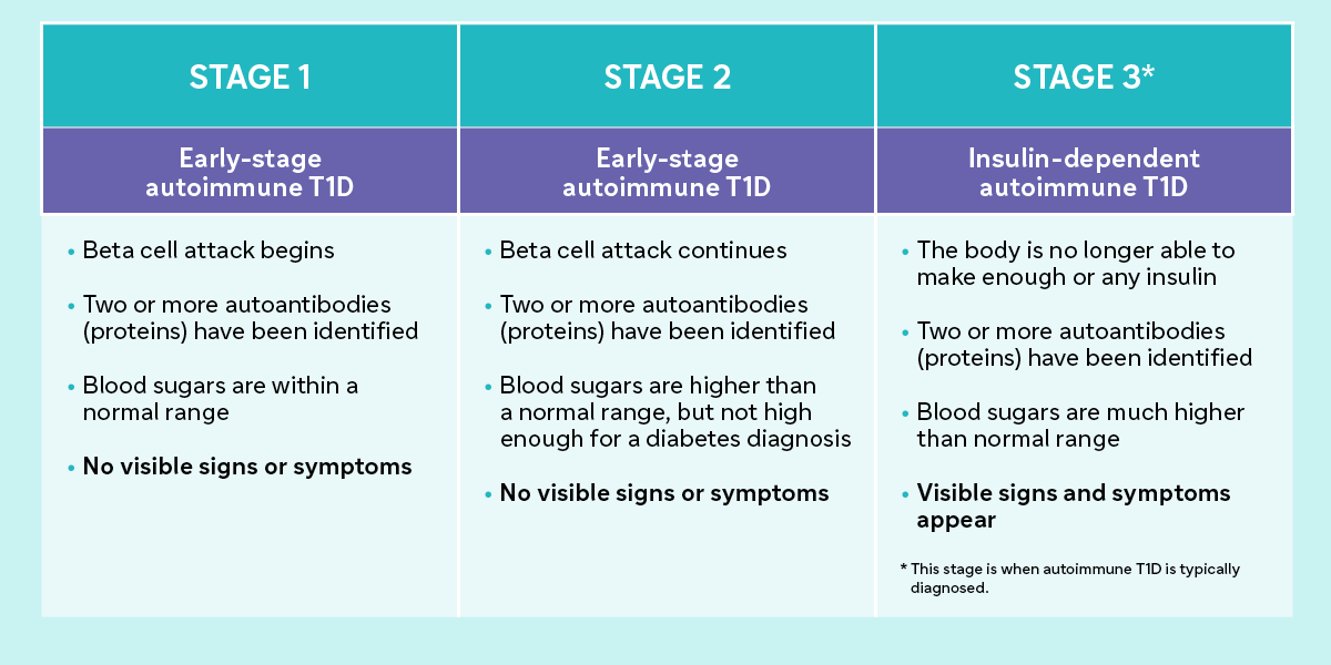 STAGE 1 Early-stage autoimmune T1D · Beta cell attack begins · Two or more autoantibodies (proteins) have been identified · Blood sugars are within a normal range · No visible signs or symptoms STAGE 2 Early-stage autoimmune T1D · Beta cell attack continues · Two or more autoantibodies (proteins) have been identified · Blood sugars are higher than a normal range, but not high enough for a diabetes diagnosis · No visible signs or symptoms STAGE 3* Insulin-dependent autoimmune T1D · The body is no longer able to make enough or any insulin · Two or more autoantibodies (proteins) have been identified · Blood sugars are much higher than normal range · Visible signs and symptoms appear * This stage is when autoimmune type 1 diabetes is typically diagnosed.